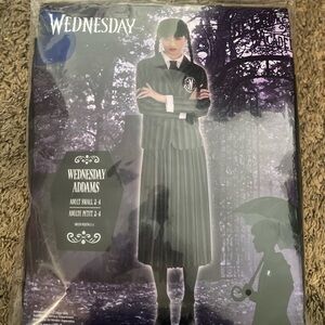 🆕 Wednesday Adam’s Costume